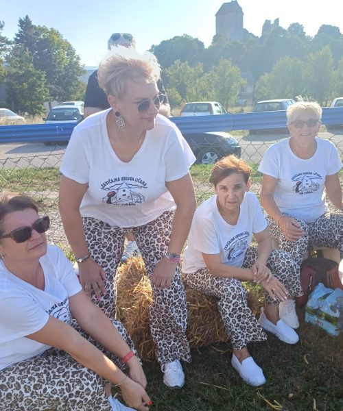 2 seoska olimpijada (7)