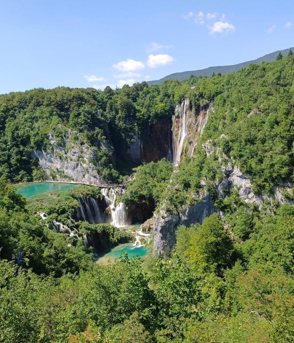 WhatsApp Image 2025-07-08 at 09.26.47