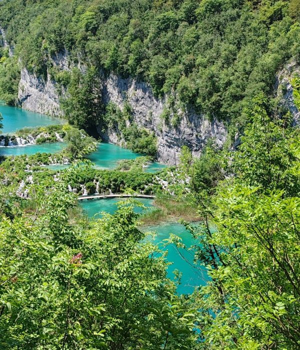 WhatsApp Image 2025-07-08 at 09.26.49