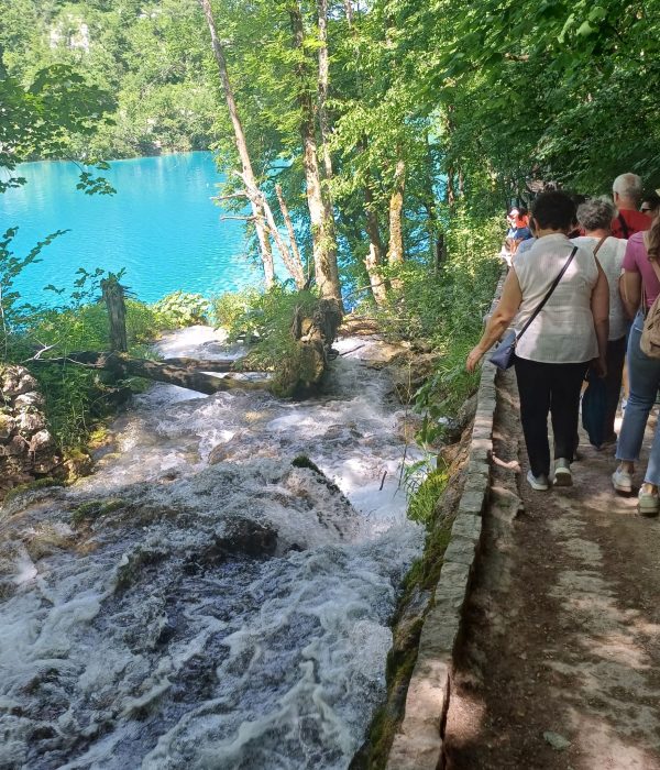 WhatsApp Image 2025-07-08 at 09.27.02