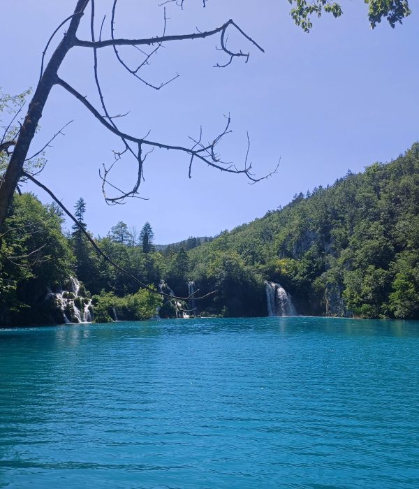 WhatsApp Image 2025-07-08 at 09.27.02(1)