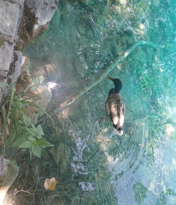 WhatsApp Image 2025-07-08 at 09.27.03