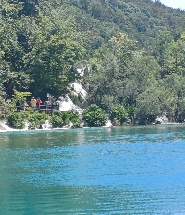 WhatsApp Image 2025-07-08 at 09.27.03(2)